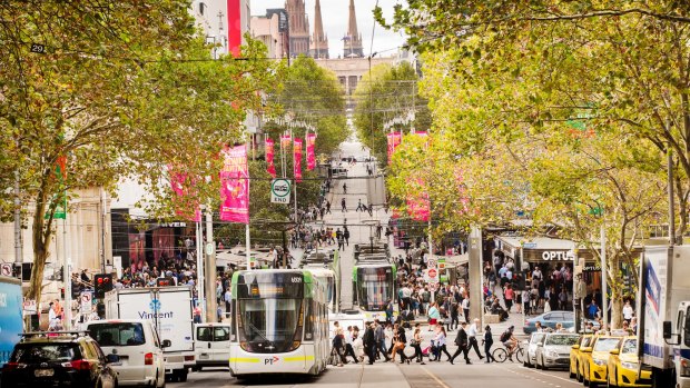 Street trees have improved Melbourne's liveability. 