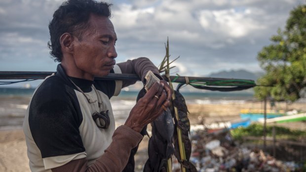 A spear fisherman counts the day's takings in Dili.