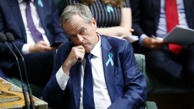 Opposition Leader Bill Shorten, pictured in question time on Wednesday, says Mr Turnbull has seriously out of touch policies. 