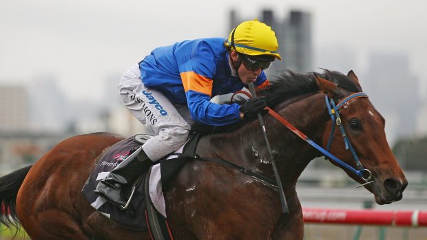 Riziz will run at a trip that the horse has shown good form at in the past. 