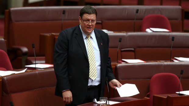 Senator Glenn Lazarus, pictured standing, says dysfunction in the Abbott government is causing chaos in the Senate.