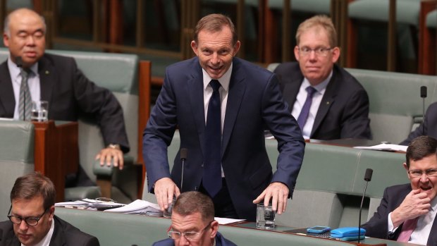 Tony Abbott during question time at Parliament House in Canberra.