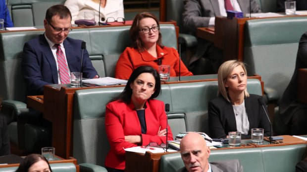 Labor MP Emma Husar in question time on Wednesday.