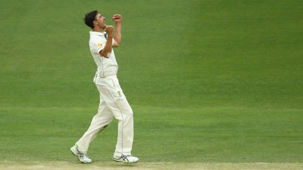 Mitchell Starc has been a world-leading wicket-taker in international cricket this year. 