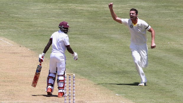 Fighting fit: Fast bowlers like Josh Hazlewood are standing up to the rigours of all forms of cricket better than ever.
