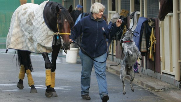 Trainer Desleigh Forster - with Formula One Racer and dog Roger - is targeting the group 1 Spring Champion Stakes at Randwick on Saturday.