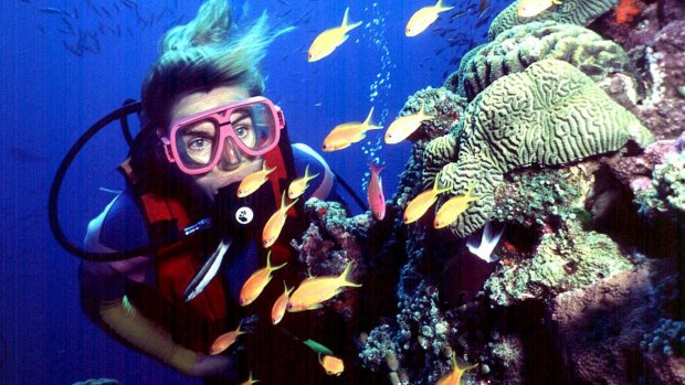 The Great Barrier Reef has avoided being listed by the UN as "in danger".