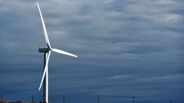 The Abbott government intends to appoint a commissioner to deal with complaints about wind turbines.