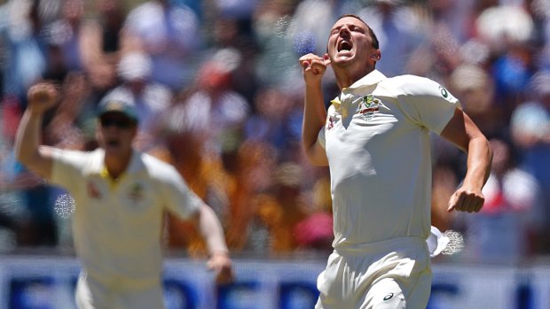 Star turn: Josh Hazlewood celebrates a wicket on the final day in Adelaide.