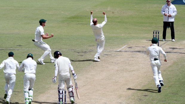 Nathan Lyon and the Australians celebrate the wicket of Moeen Ali on day five.