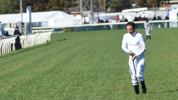 Stood down: Damien Oliver walks the track on the day he failed a breath test at the Warrnambool carnival.