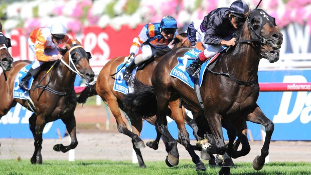 Similarities: Damien Oliver rides Fiorente to win the Darley Australian Cup in 2014.