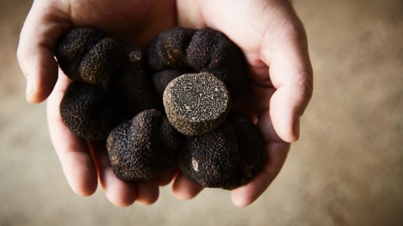 Truffles are worth $2500 a kilo in Australia. 