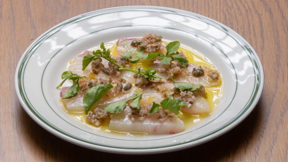 Sicilian crudo.