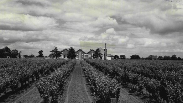 Back in the day: Wynns Coonawarra Estate in 1973. 
