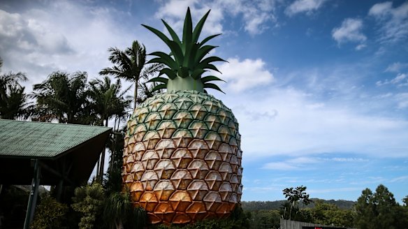 The big pineapple on Queensland's Sunshine Coast.