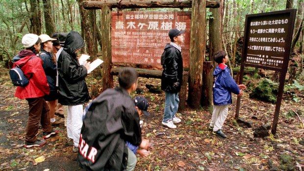 A group of schoolchildren read signs posted in the dense woods of the Aokigahara Forest.