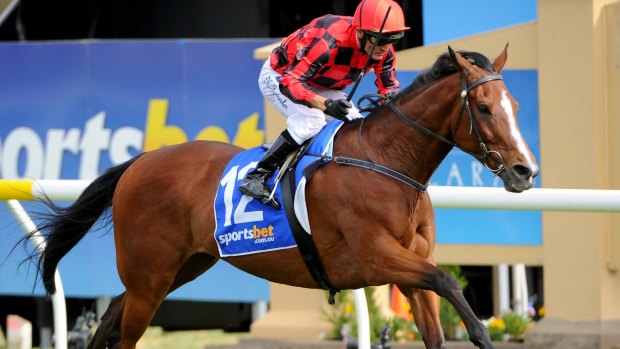 Kevin Forrester riding Mujadale wins the Ballarat Cup.