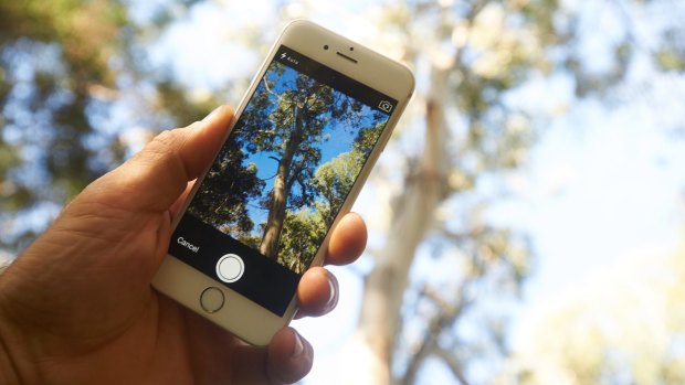 Mobile phones allow citizen scientists to collect valuable information about their local environment.
