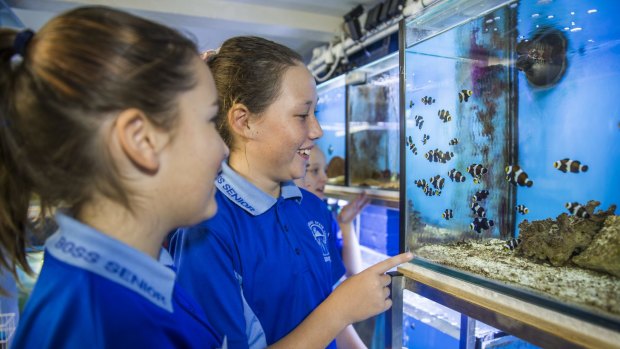 Anneke Everson and Ruby Dowling from Belgian Gardens State School, Townsville.