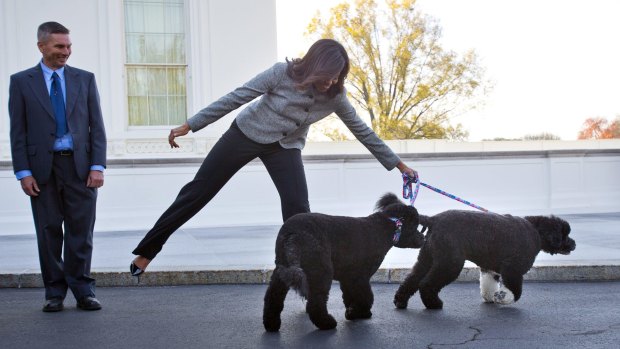 Michelle Obama pulled along by her dogs Bo and Sunny last year. 