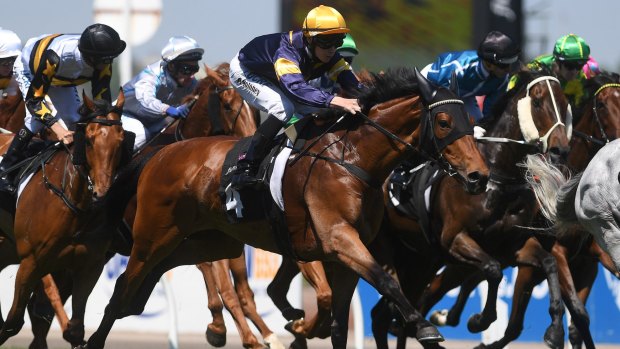 Royal flush: Vengeur Masque and Patrick Moloney (yellow cap) take out the Queen Elizabeth Stakes.