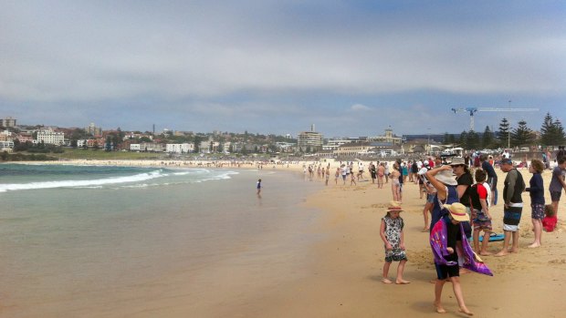 Beach-goers are cleared from the water at Bondi Beach after a shark alarm sounded on Friday.