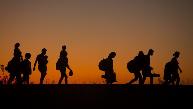 Migrants crossing the border from Serbia into Hungary: This year the world has seen the largest movement of refugees since the 1950s.
