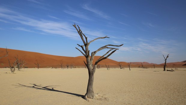 Deadvlei in Namib-Naukluft NP.