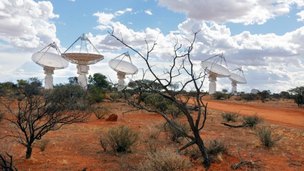 The Australian Square Kilometre Array Pathfinder (ASKAP) radio telescope array stretches across the landscape at Boolardy station in Western Australia.