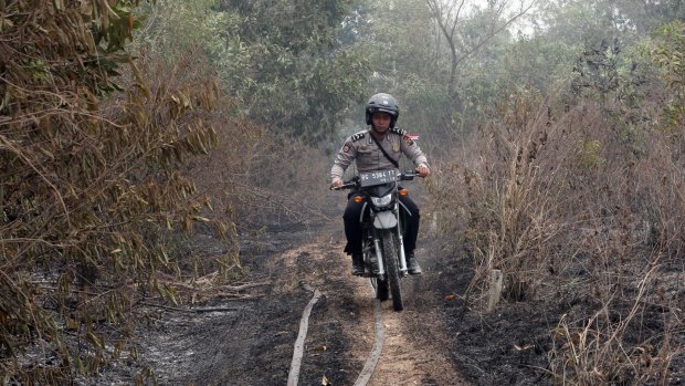 A policeman rides a motorcycle through a wildfire zone in Indralaya, South Sumatra.