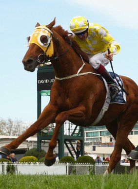 Costly suspension: Bowman riding Criterion to the line to win the Cathay Pacific Caulfield Stakes.