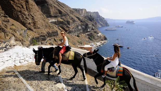 Tourist ride donkeys up the steep hills of Fira, Santorini. 
