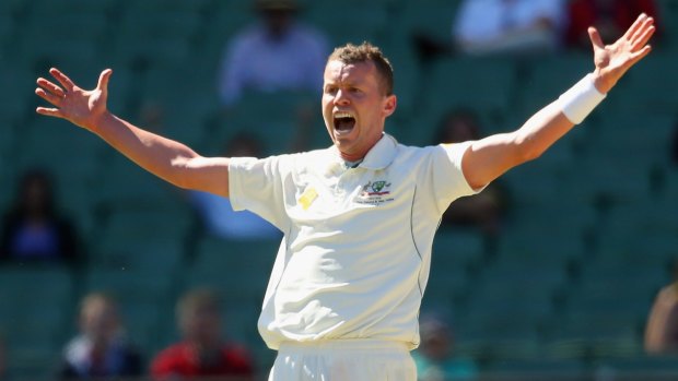 Injury struggles: Peter Siddle may not be fit enough to play in Perth.