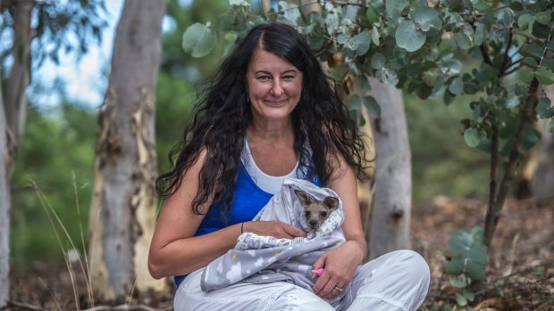 Suzy Watson is looking after Flame, a shy little joey rescued by firefighters from the Currandooley fire. 