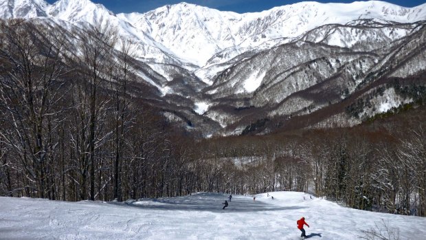 Located 270 kilometres north-west of the capital, Hakuba Valley has 10 separate resorts scattered along the spectacular Japanese Alps.