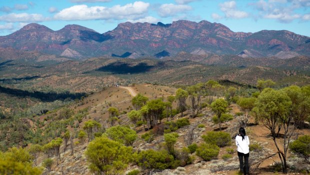 Bunyeroo Valley Lookout.