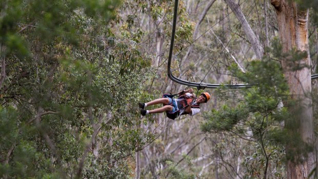 Thrilling: Riders zigzag through 40 obstacles while being suspended about six storeys high.