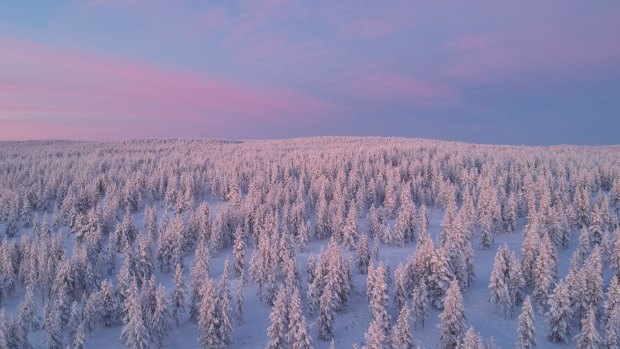White wonderland: Lapland, Finland.