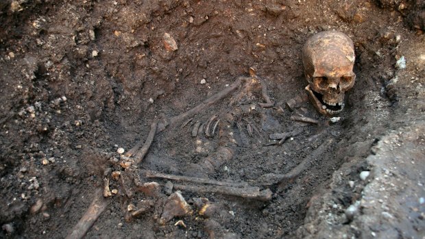 The skeleton of Richard III at the Grey Friars excavation site in Leicester.
