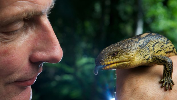 Mark Norman, head of sciences at Museum Victoria, with a blue tongue lizard. 