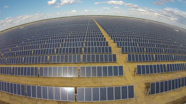 FRV solar farm in Moree, NSW.