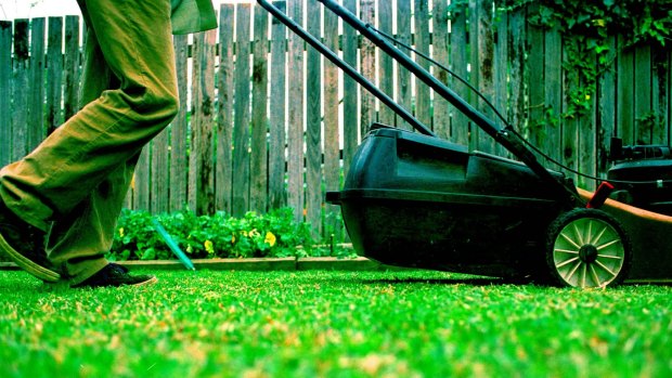 Council slashed its yearly grass cutting costs from about $18.7 million to $13.7 million in November.