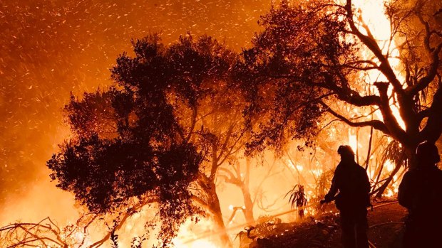 Santa Barbara firefighters knock down flames as they advance on homes in Carpinteria, California.