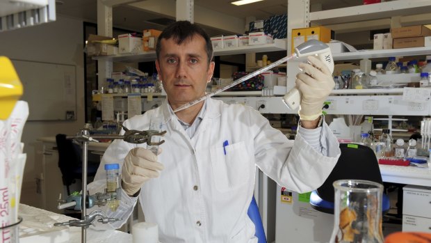 Major study: Professor Thomas Preiss from ANU JCSMR who has been involved in an international project researching stem cells. 