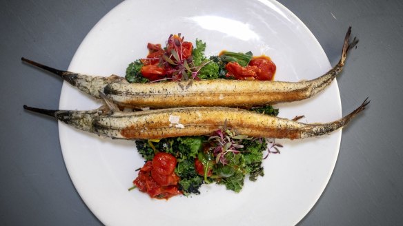 Grilled garfish with charred kale and braised cherry tomatoes.