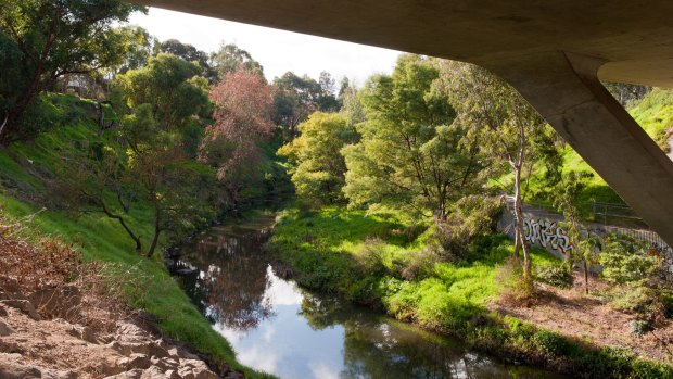 The same section of Merri Creek in 2015.