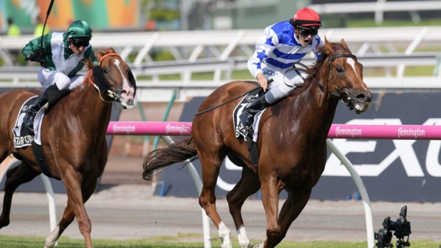Big chance: Regan Bayliss will treat The Everest "like any other race day".