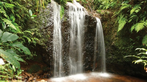 Teresa Falls, named after Jose Paronella's daughter.