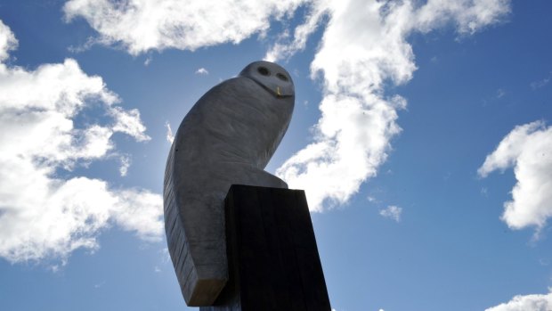 An owl sculpture, by Bruce Armstrong, keeps watch over Belconnen.